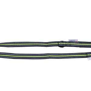 axaeco cane guinzaglio