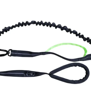axaeco pettorina cane