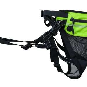 axaeco cane accessori cintura