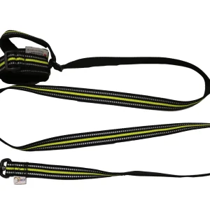 axaeco cane accessori guinzaglio