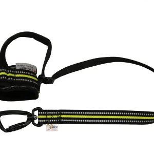 axaeco cane accessori