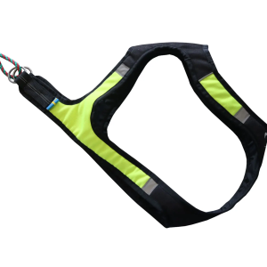 axaeco accessori cane
