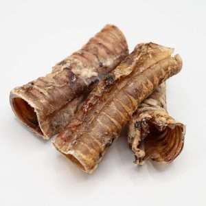 masticativo bovino