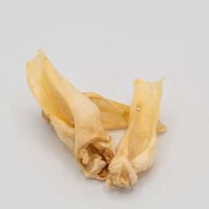 masticativo coniglio