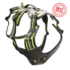 AXAECO 4 Season Broad Peak Harness